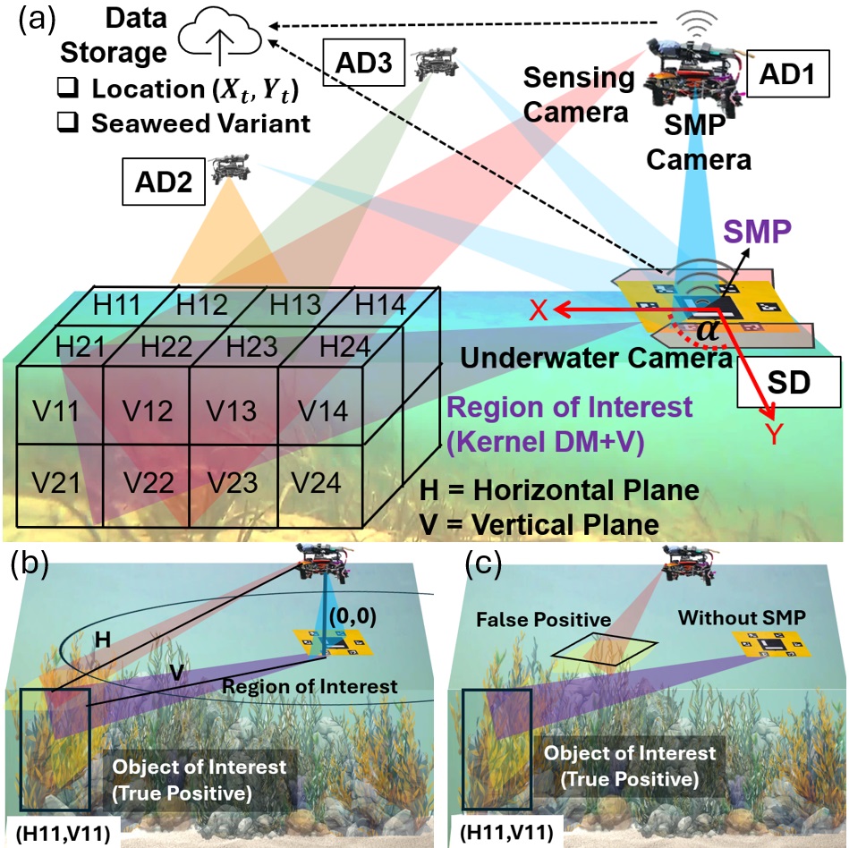 Multi-Modal Coordinated Sensing for Spatially-Aware Marine Monitoring