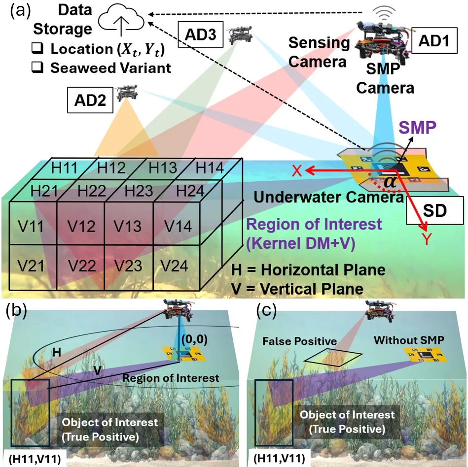 Multi-Modal Coordinated Sensing for Spatially-Aware Marine Monitoring