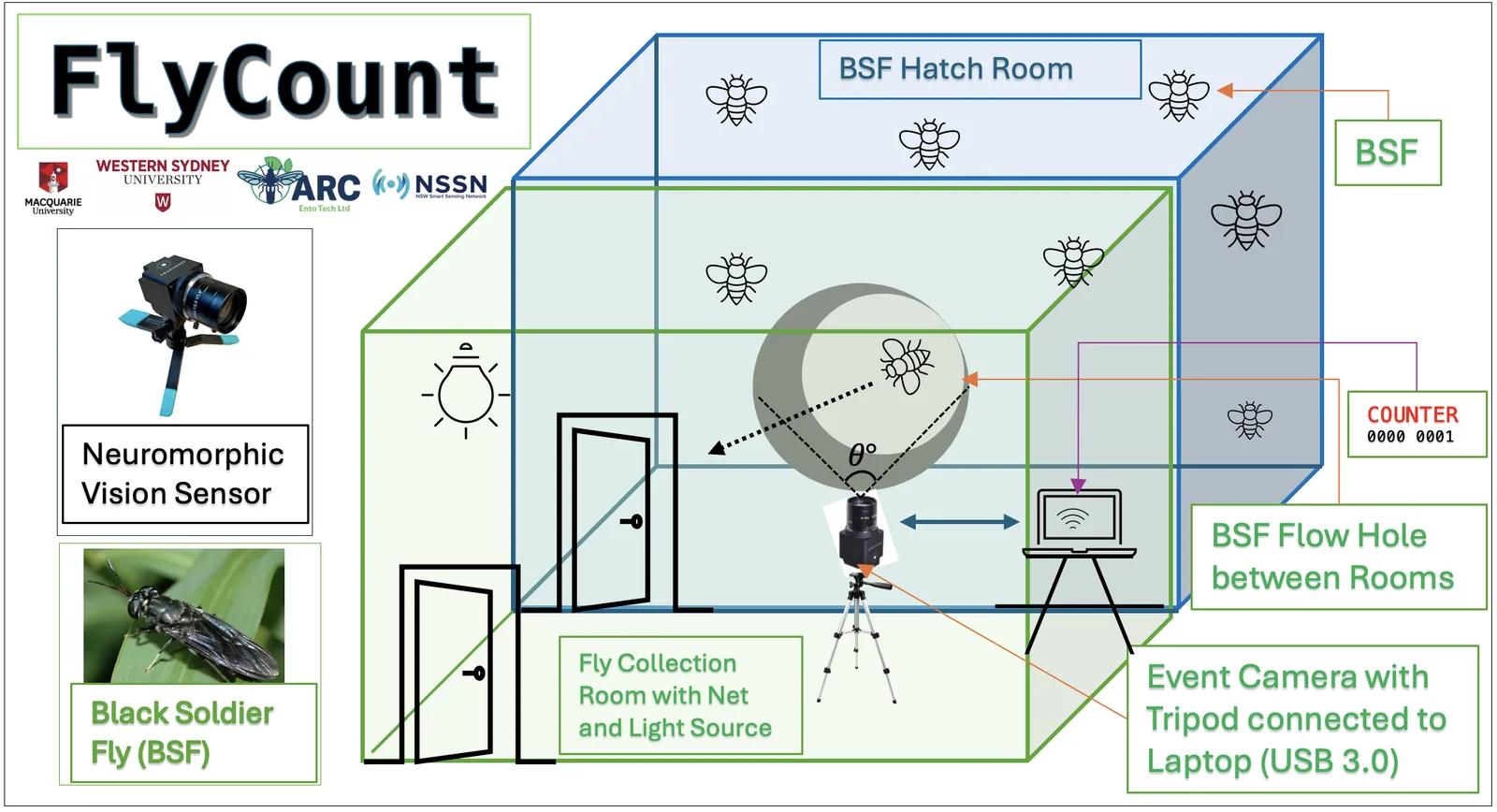FlyCount Neuromorphic Sensing